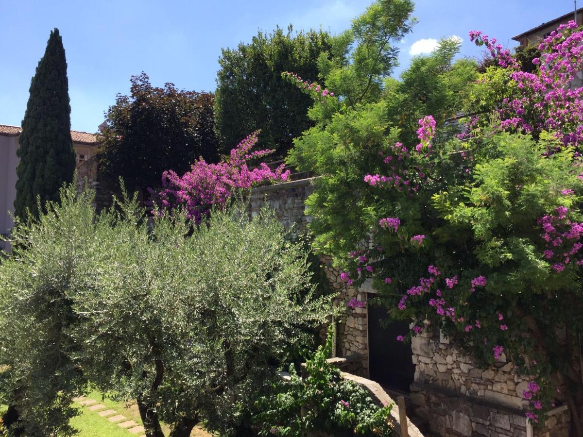 Ferienwohnung Le Finestre Sugli Ulivi Desenzano del Garda Exterior foto